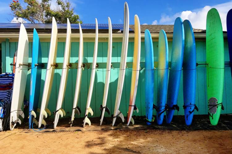 Surfboards at a rental shop