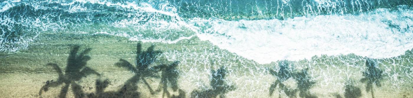 An aerial view of the beach